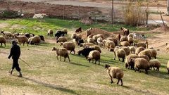 اسرائيل تختطف راعي غنم من داخل الأراضي اللبنانية