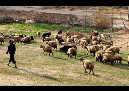 اسرائيل تختطف راعي غنم من داخل الأراضي اللبنانية