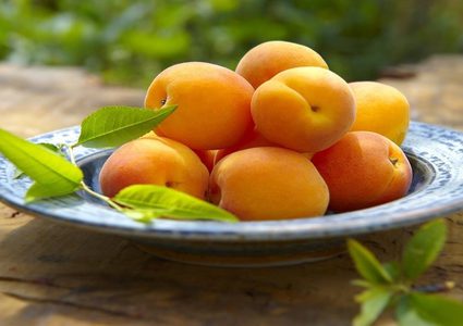 أطباء القلب ينصحون بالإقبال على تناول المشمش