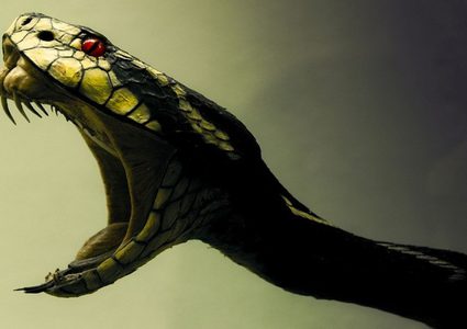 ثعابين "زومبي" تثير قلقا في أمريكا بتظاهرها بالموت!