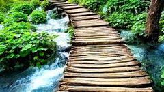 قضاء ساعتين في الطبيعة أسبوعيا يعزز الصحة العامة للرجال والنساء