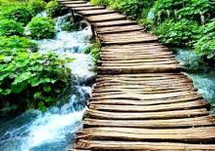 قضاء ساعتين في الطبيعة أسبوعيا يعزز الصحة العامة للرجال والنساء