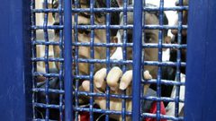 توتر في سجن عسقلان قبيل شروع الأسرى بـ "معركة المجدل"