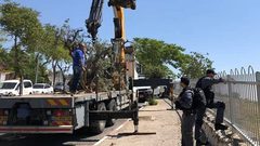 الخارجية تدعو لتدخل دولى عاجل لوقف تهويد البلدة القديمة في الخليل