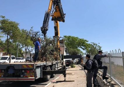 الخارجية تدعو لتدخل دولى عاجل لوقف تهويد البلدة القديمة في الخليل