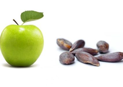 أبرزها بذور التفاح .. هذه الأطعمة قد تكون سامة للغاية