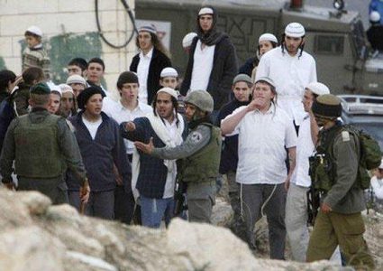 مستوطنون يعتدون على مواطنين في حي  تل ارميدة وسط الخليل