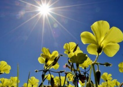 الطقس: أجواء صافية وانخفاض طفيف على درجات الحرارة