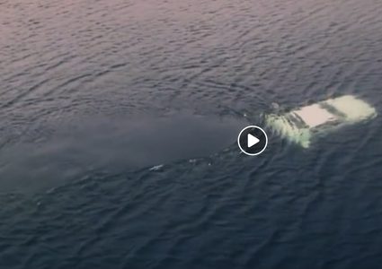 سيارة غواصة ستتوفر في الأسواق