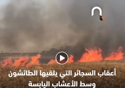 نيران الصيف تعدم القمح في أرضه .. والفاعل مجهول