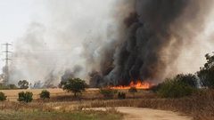 الاحتلال يخلي منازل مستوطنة جنوبي نابلس بفعل حريق كبير