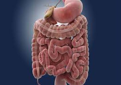 دراسة: التشخيص المبكر ينقذ مرضى سرطان الامعاء من الموت