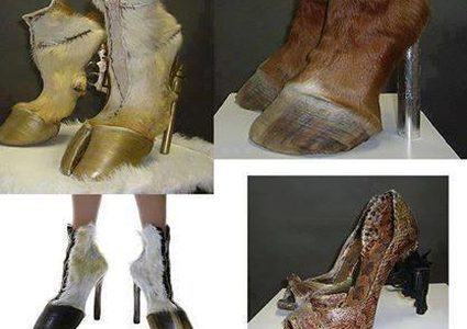 بالصور: تعرف على أسعار حذاء رجل الماعز