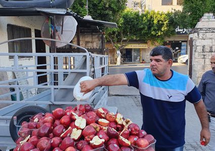 إتلاف أكثر من 200 كيلو من التفاح الأمريكي في نابلس