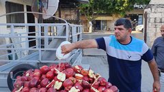 إتلاف أكثر من 200 كيلو من التفاح الأمريكي في نابلس