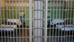 ثمانية أسرى في معتقل "عسقلان" يعانون من أوضاع صحية صعبة