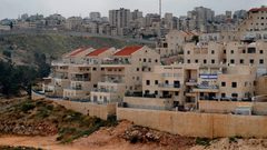 الاحتلال يستولي على 1200 دونم لبناء حي استيطاني جديد