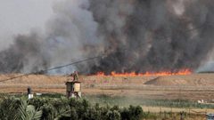 المستوطنون يشعلون النيران جنوب نابلس