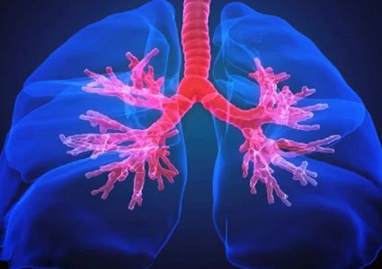 أول "أطلس" للرئة البشرية يبشر بعلاج ثوري للربو!