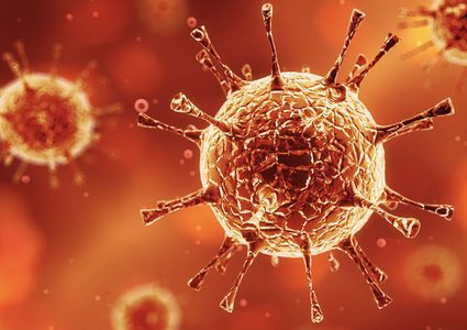 هل جميع الفيروسات معدية ؟