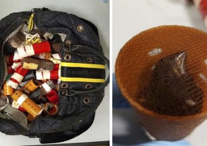 ضبط رجل يهرب طيورا نادرة إلى أمريكا في لفافات شعر!