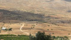 احتراق حوالي عشرة آلاف دونم زراعي في الأغوار