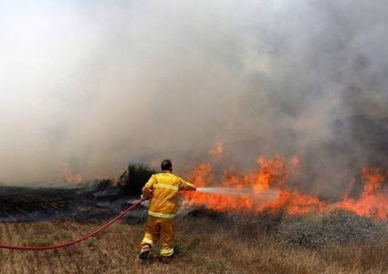 حريق يلتهم 20 دونما مزروعة بالقمح و20 شجرة زيتون