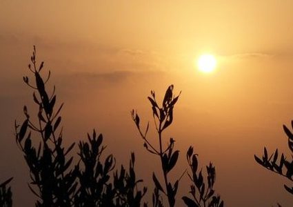 طقس بداية الأسبوع حتى الثلاثاء