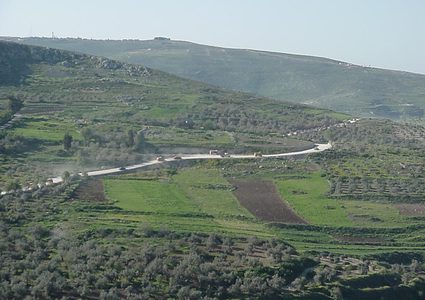 "قطاف يومي" يستنفر مواطنين جنوب غرب نابلس