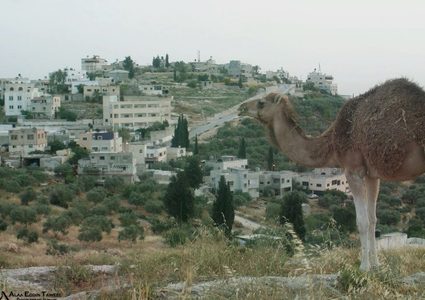 "النتاشة" .. "ماء وخضراء وكهرباء" رغما عن عصابات "تدفيع الثمن"