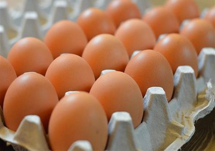 الزراعة: ما أُشيع عن انخفاض اسعار البيض مؤخراً غير صحيح