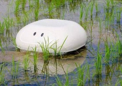 "الروبوت البطة".. صديق جديد للفلاح