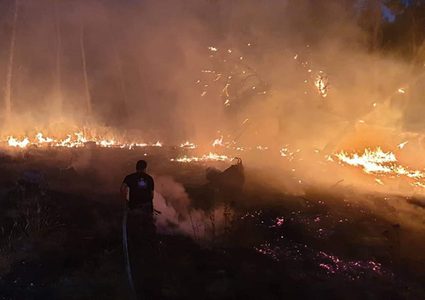 حرائق كبيرة تلتهم 3 دونمات زراعية في محافظة جنين