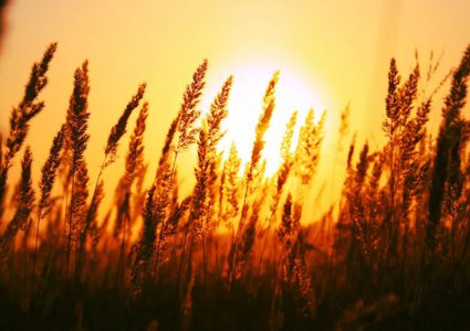 طقس صيفيّ معتاد يسيطر على فلسطين