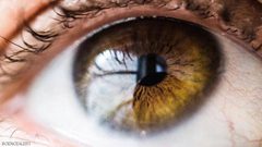 تعرف إلى بكتيريا العين "المفيدة"