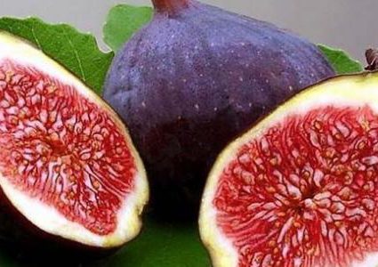 مع حلول موسم التين هذه هي أبرز فوائده