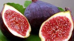 مع حلول موسم التين هذه هي أبرز فوائده