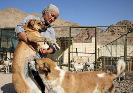 انتشار أكل لحوم الكلاب في الأردن يثير سخطا