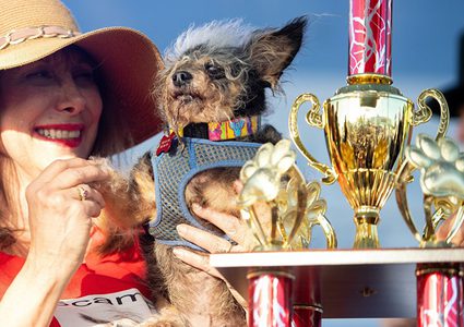 "سكامب ترامب" يفوز بجائزة أقبح كلب في العالم