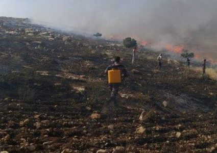 حريق يلتهم أشجار زيتون جنوب غرب جنين