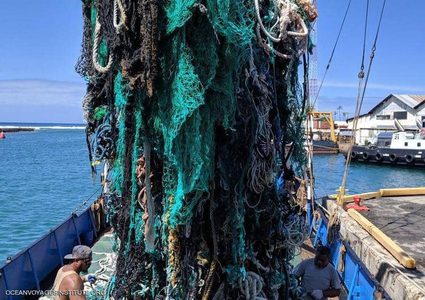 سحب 40 طنا من شباك الصيد المهجورة من دوامة نفايات المحيط الهادئ