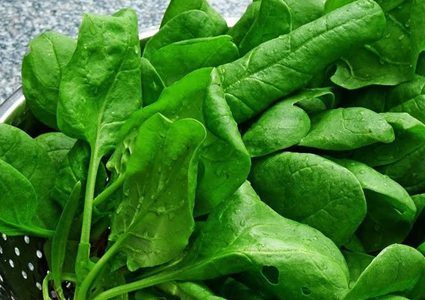 خبراء يدعون لحظر استهلاك هرمون موجود في السبانخ!
