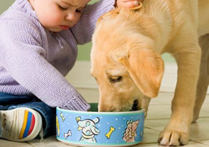 تعرف على الامراض الخطيرة التي تنتقل للانسان من الحيوان