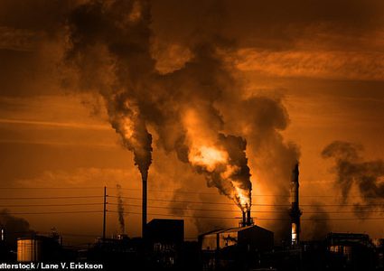 الأجنة والأطفال في المناطق الملوثة أقل ذكاءًا