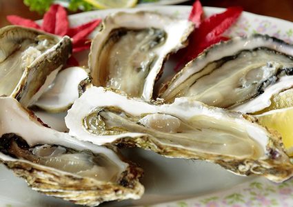 هل تؤثر درجات الحرارة العالية على المحار داخل قواقعه؟