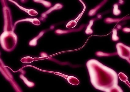 خصوبة الرجال تضعف مع التقدم في العمر كـ"النساء"