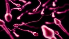 خصوبة الرجال تضعف مع التقدم في العمر كـ"النساء"