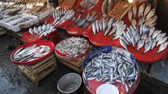 أحشاء الأسماك وعظامها أكثر فائدة من لحومها