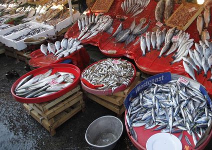 أحشاء الأسماك وعظامها أكثر فائدة من لحومها