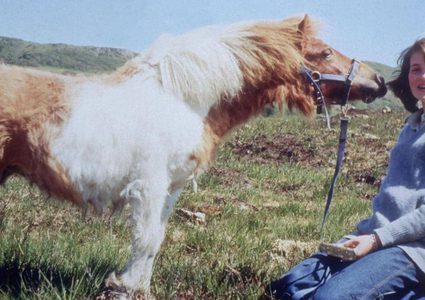 تحت مطرقة المزاد.. سترة "سيدة الطيران" للأميرة ديانا